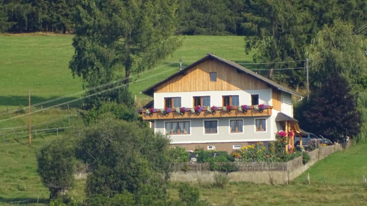 Sankt Peter am Kammersberg Ferienwohnung Greim מראה חיצוני תמונה
